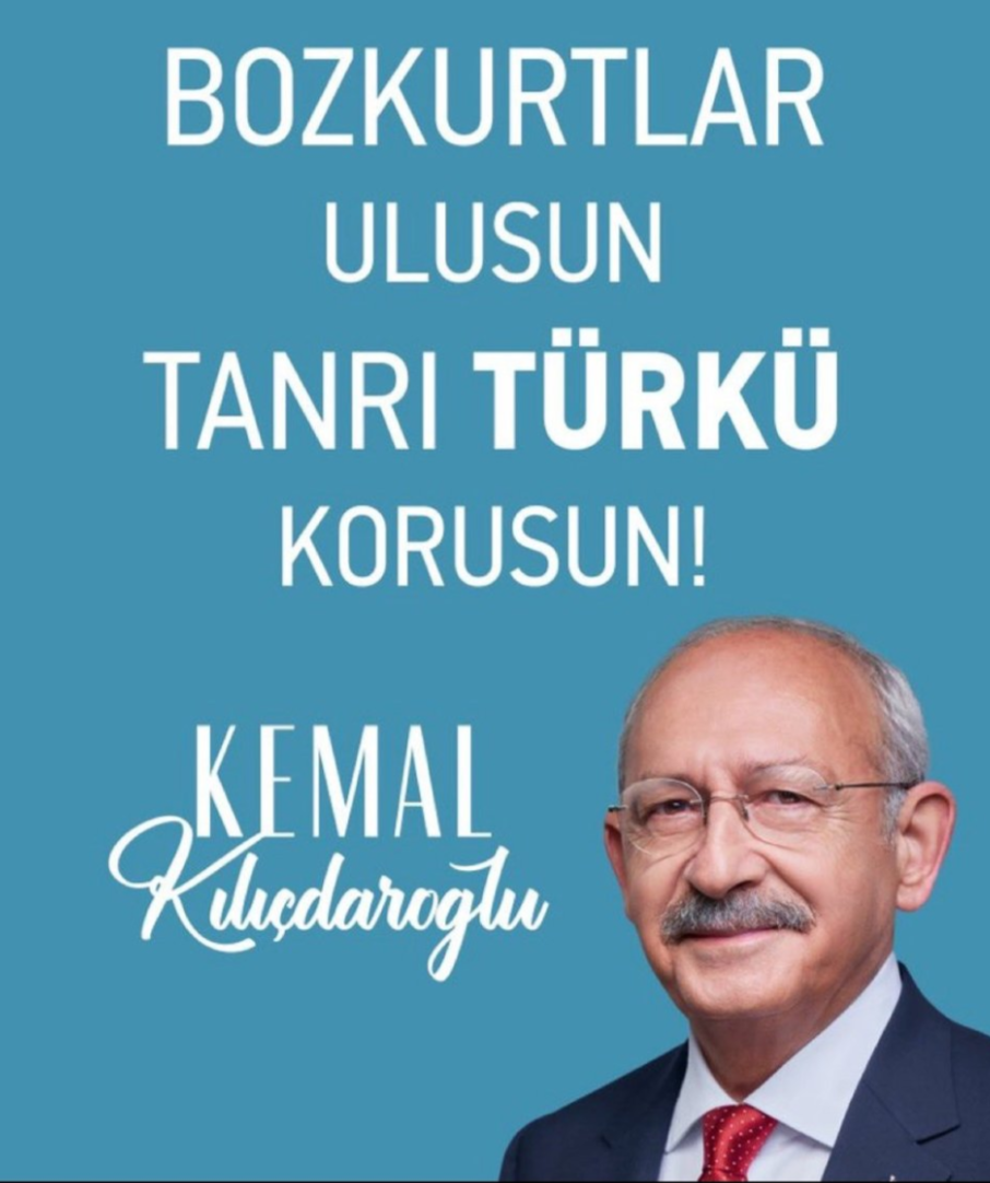 Grauer Wolf Kemal Kilicdaroglu