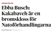 Es wird nur einen Verlierer geben: PKK oder Schweden