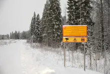 Finnland: Journalisten angeklagt