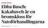 Es wird nur einen Verlierer geben: PKK oder Schweden